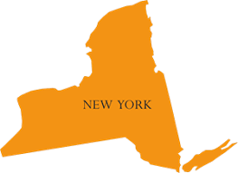 NY IMG-Friendly State
